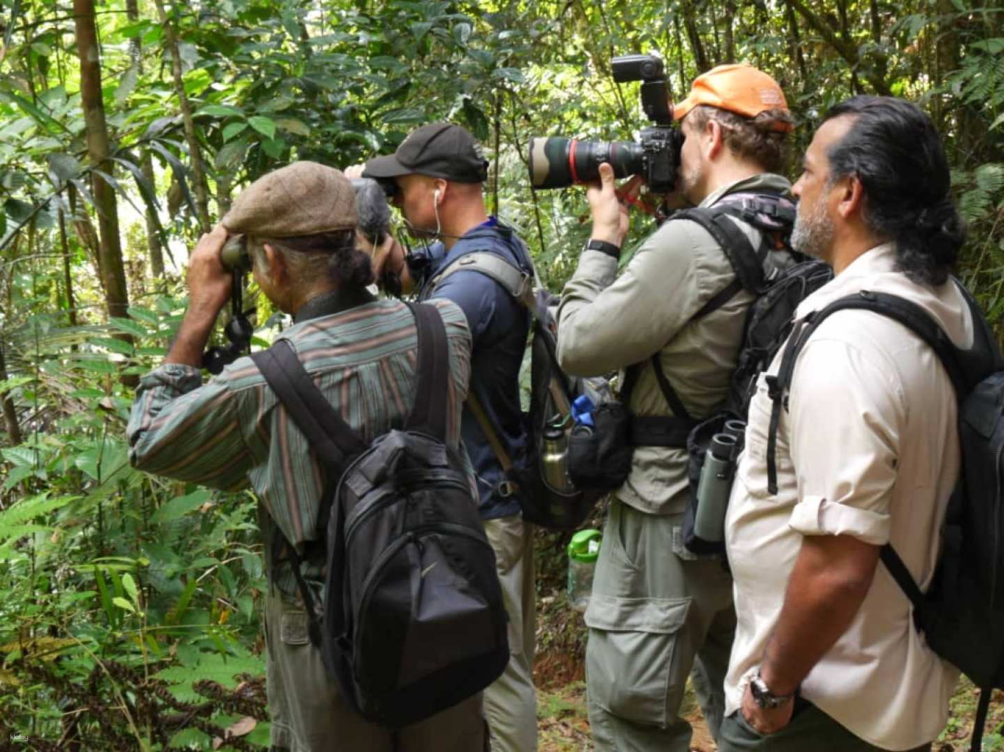 Desaru Coast Birdwatching Shared Tour with Desaru Coast Hotel Transfer | Johor, Malaysia - Photo 1 of 10