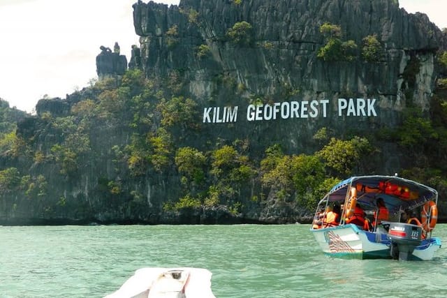 Langkawi Mangrove Tour