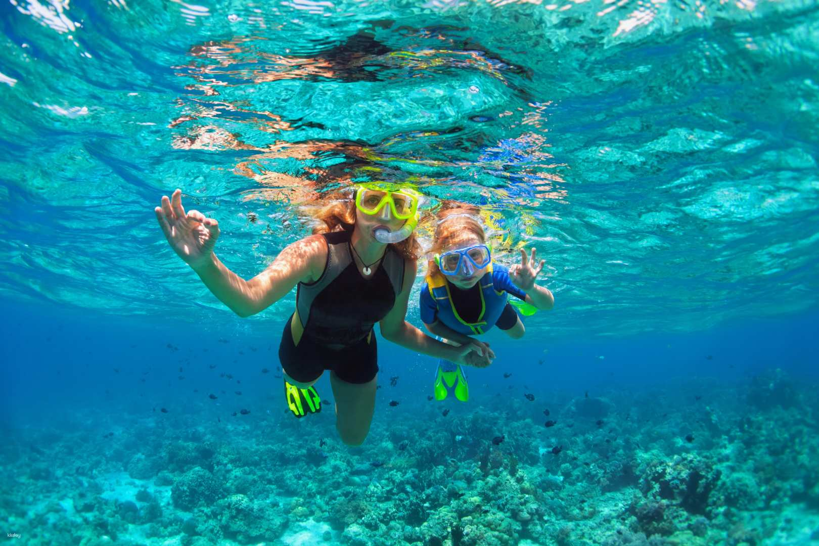 Dreamer Island Snorkeling Day Tour with Lunch, Optional Water Activities & Hotel Transfer | Sabah, Malaysia - Photo 1 of 10