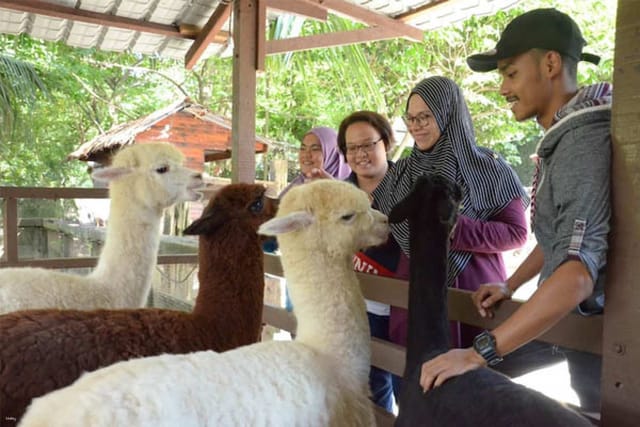 Farm In The City Day Pass Ticket | Selangor - Photo 1 of 10