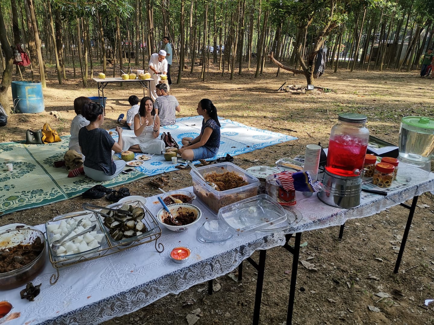 Tiffin Carrier Forest Picnic Near KLIA  - Photo 1 of 7