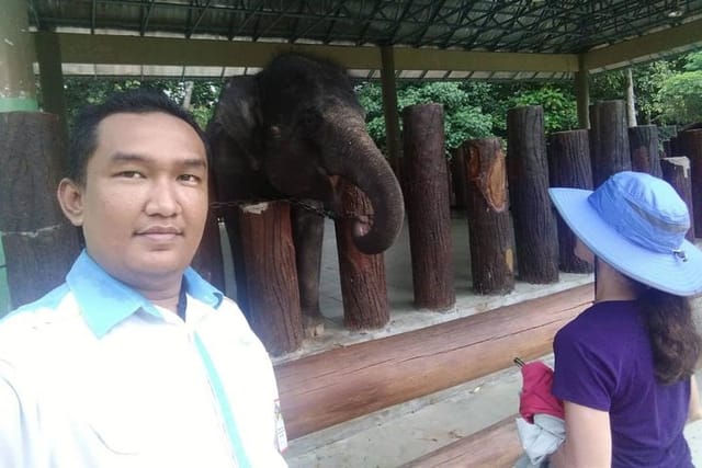 Full Day Elephant Sanctuary Tour with a Free Batu Caves Visit - Photo 1 of 7