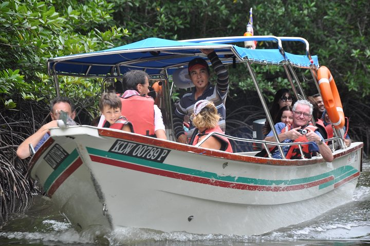 Cruising through the mangrove forest