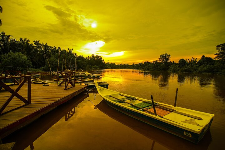 Full-Day Private Boat Ride and Seafood Dinner in Kuala Selangor - Photo 1 of 21