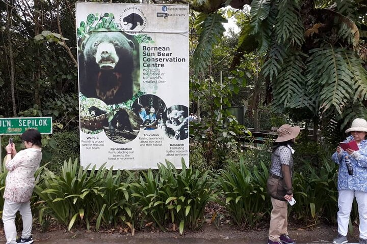 Full-Day Sepilok Orangutan,Sun Bear & Sandakan City Trail from Kota Kinabalu - Photo 1 of 14