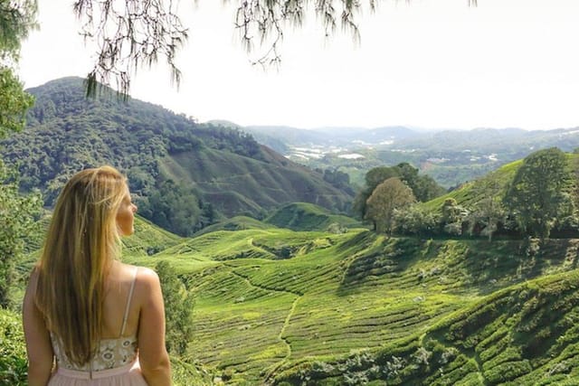 Escape the heat and visit a tea plantation in the rolling hills of the Cameron Highlands