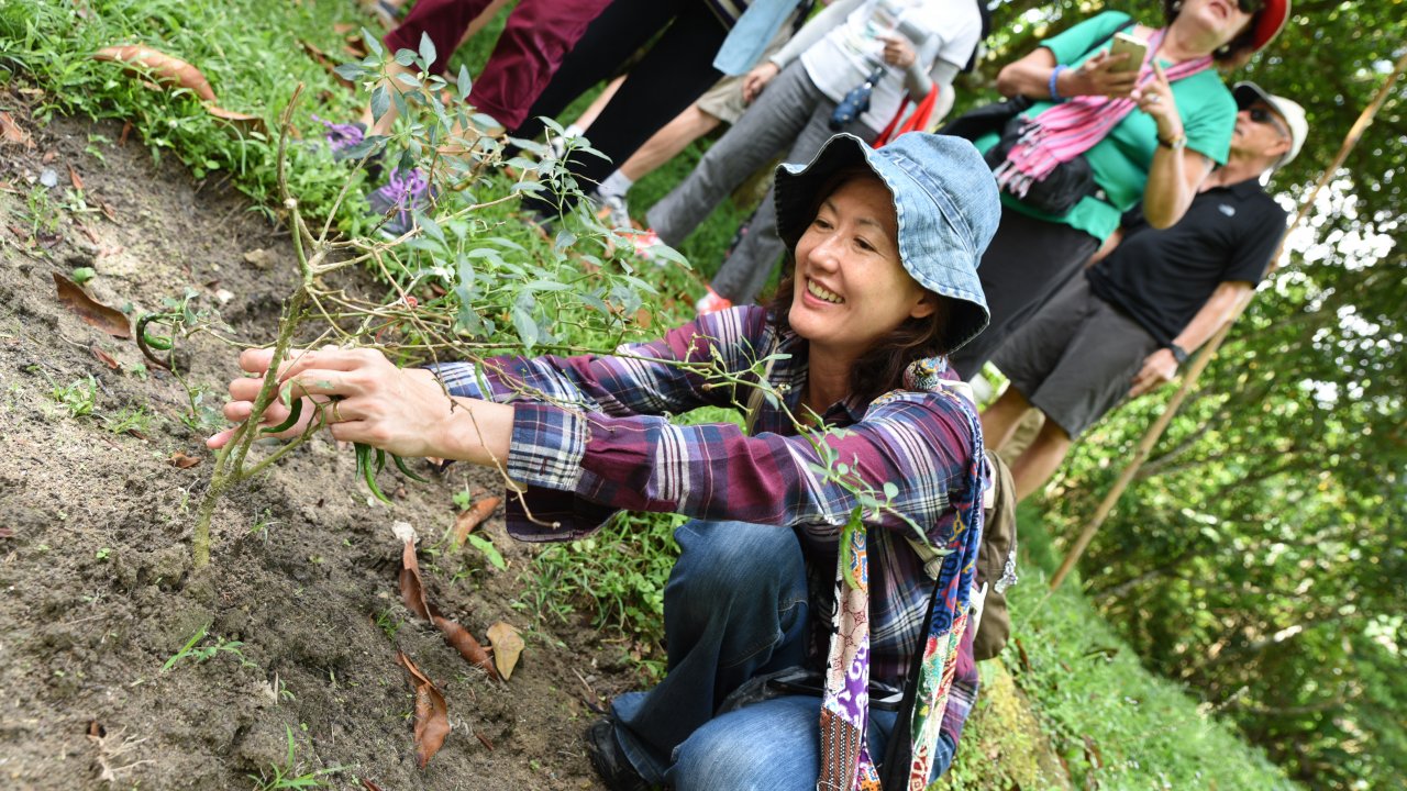 Green Acres Penang Guided Farm Tour and Fruit Tasting - Photo 1 of 6