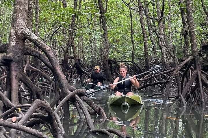 Half-Day Geopark Mangrove Kayaking Adventure - Photo 1 of 7