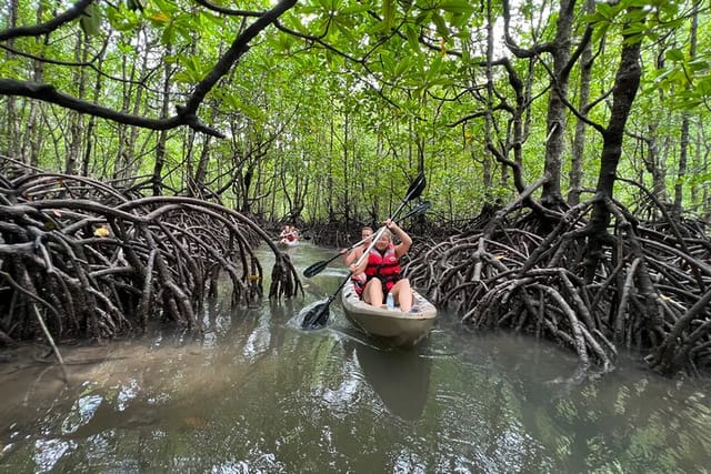 Half-Day Mangrove Kayaking in Langkawi  - Photo 1 of 24