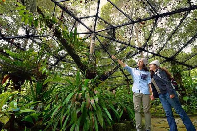 Kinabalu National Park Tour with Poring Hot Springs - Photo 1 of 15