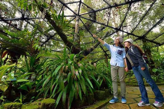 Kinabalu National Park