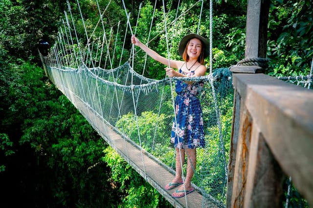 Poring Hotspring - Canopy Walk 