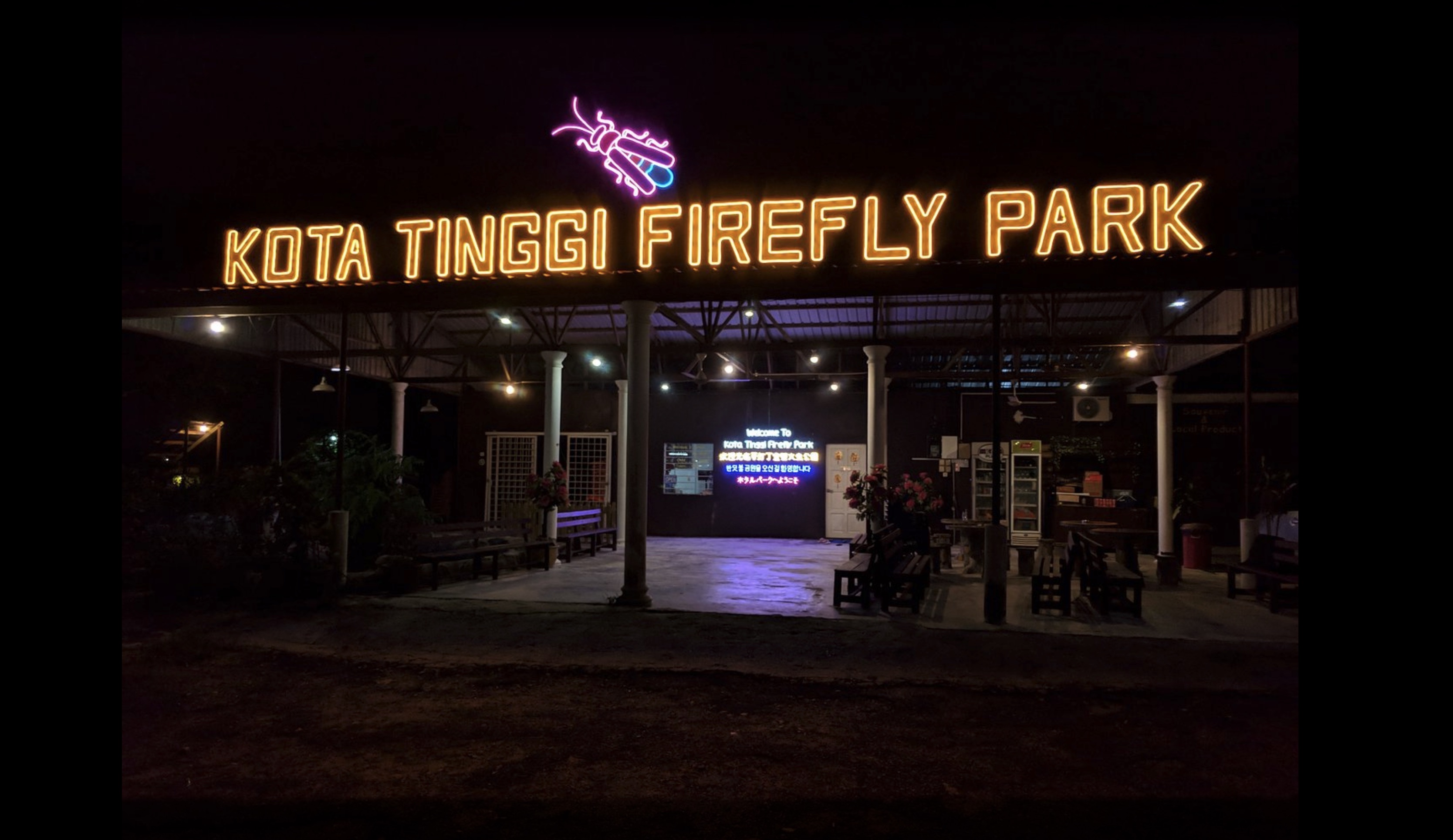 Firefly Park River Cruise Tickets in Kota Tinggi - Photo 1 of 10