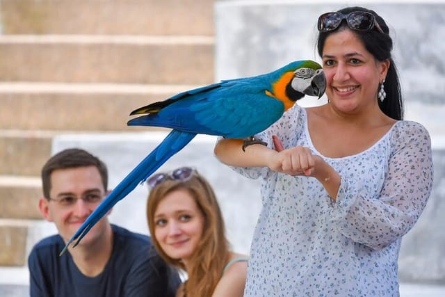 Kuala Lumpur Bird Park Tour Including Transfer - Photo 1 of 15