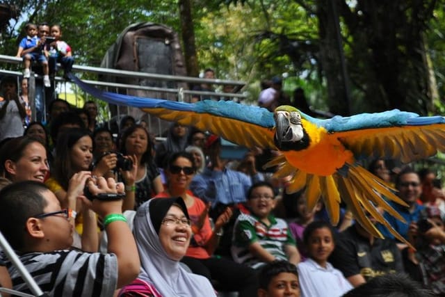 Kuala Lumpur City Famous Landmarks with Bird Park Admission - Photo 1 of 13