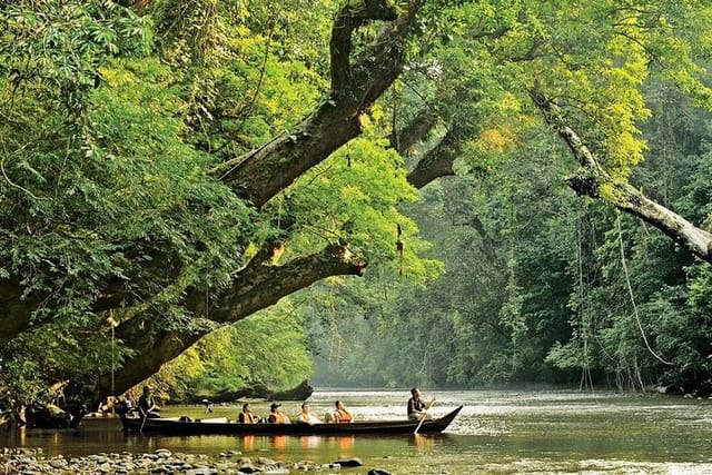 Taman Negara