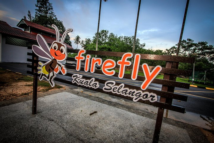 Kuala Selangor Firefly Park