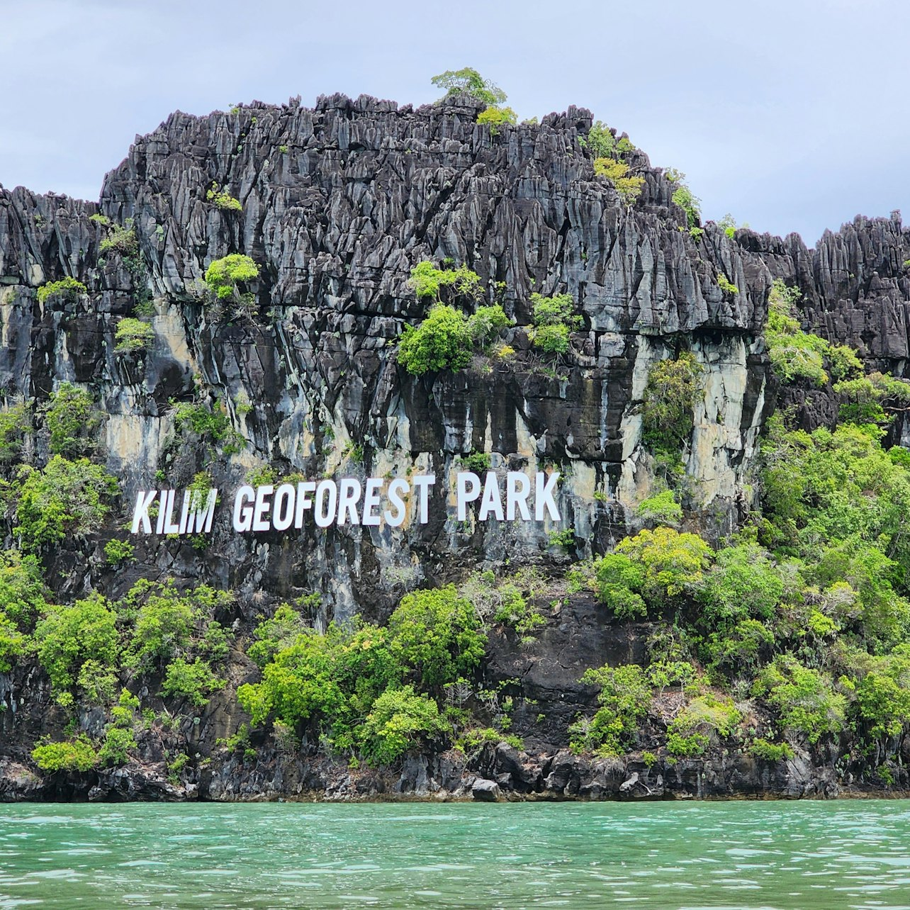 Langkawi: Kilim Mangrove Boat and Kayak Tour - Photo 1 of 5