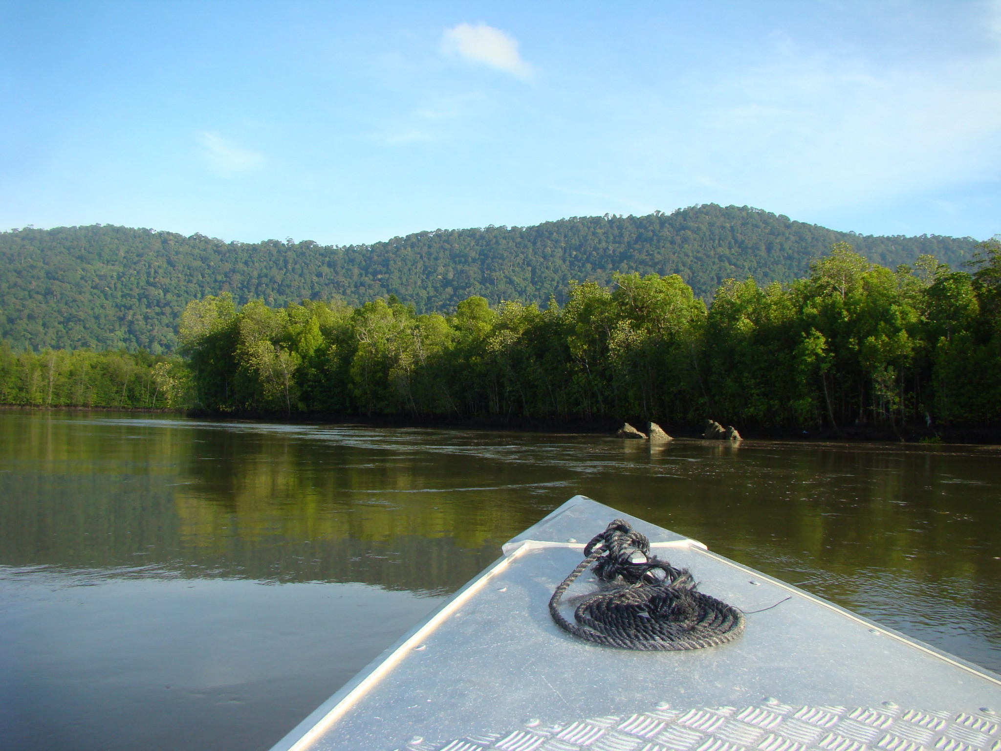 Langkawi Mangrove Cruise and Snorkelling - Photo 1 of 7