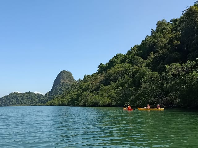 Langkawi Mangrove Kayaking and Swimming Adventure Tour - Photo 1 of 5