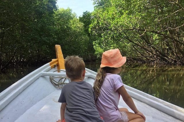 Langkawi Mangrove Kilim UNESCO Geopark and Cave Exploring Tour - Photo 1 of 17