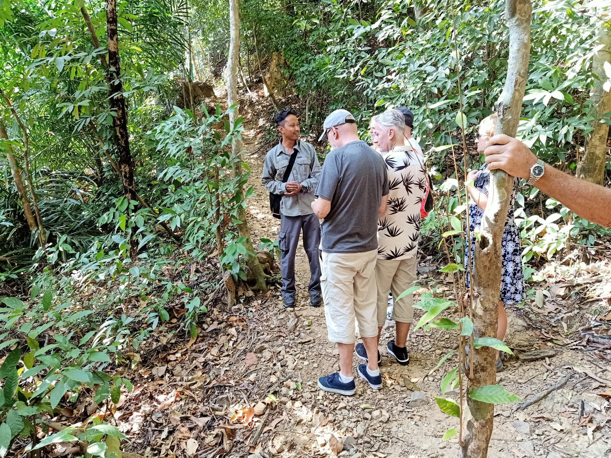 Langkawi Rainforest Jungle Trekking Tour - Photo 1 of 9