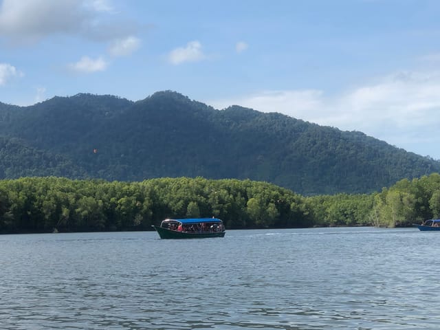 Langkawi UNESCO Geopark Mangrove Cruise Tour - Photo 1 of 7