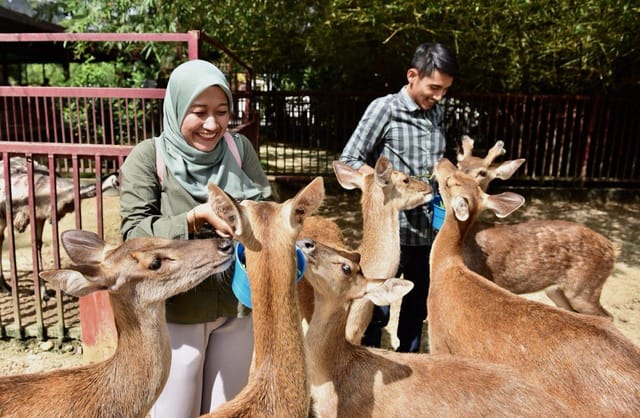 Langkawi Wildlife Park | Malaysia | Pelago