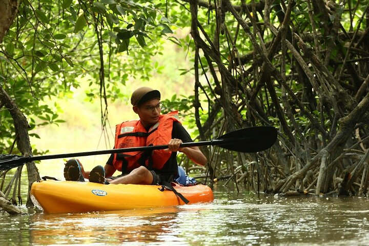 Lebam River Kayaking Adventure - Photo 1 of 7