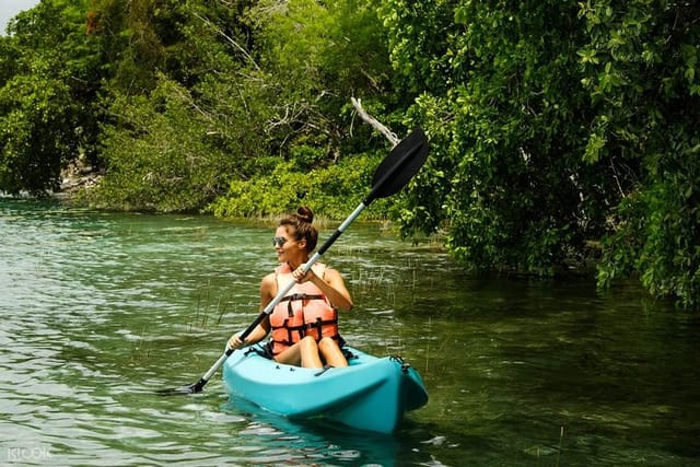 Langkawi Mangrove Kayak