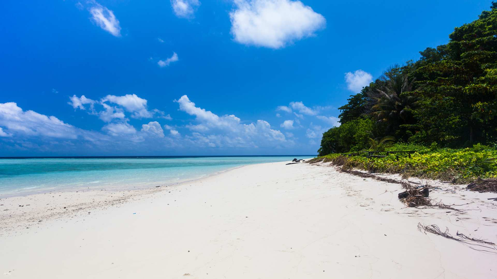 Moon Bay Island Snorkeling & Diving Shared Day Tour | Sabah - Photo 1 of 10