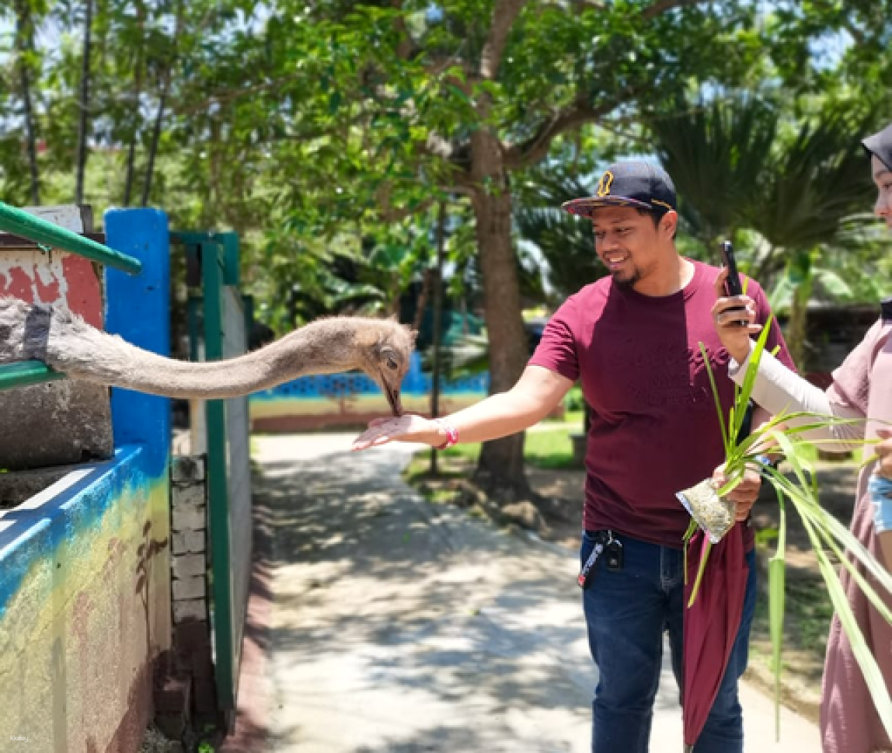 P.D. Ostrich Show Farm in Port Dickson Admission Ticket | Malaysia - Photo 1 of 9