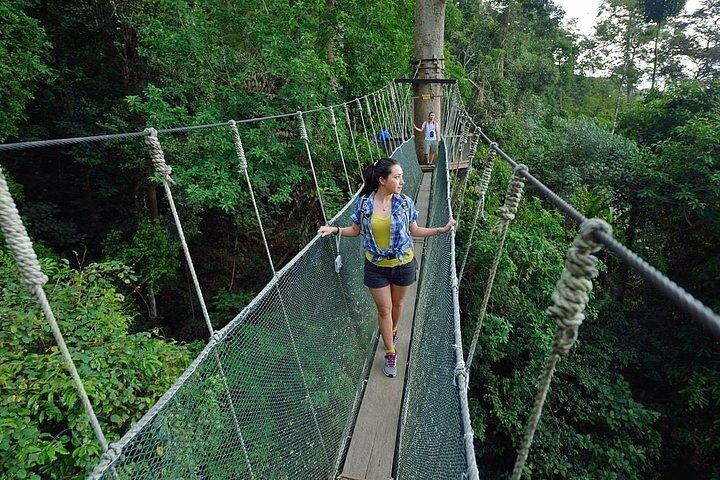 Poring Hot Springs Tour from Kota Kinabalu including Treetop Canopy Walk - Photo 1 of 12