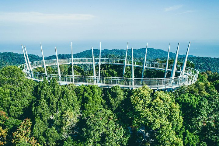 Tree Top Walk