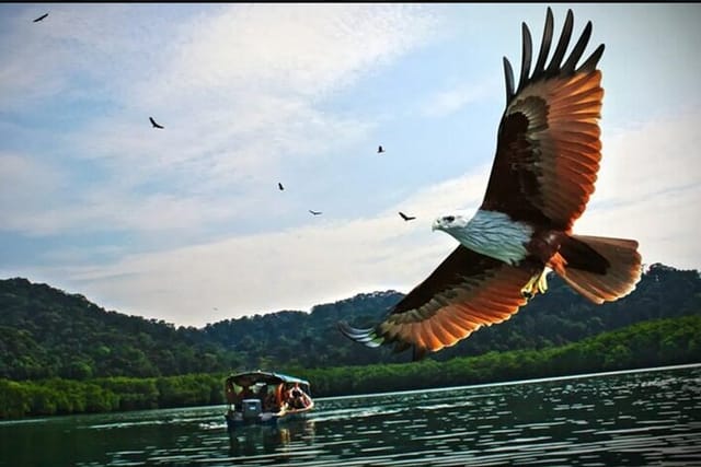 Private Tg Rhu Mangrove Forest Boat Tour With Lunch on A Floating Restaurant - Photo 1 of 25