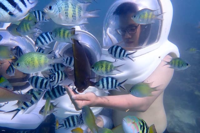 Sea-Walking Experience with Underwater Photography Service in Semporna | Sabah - Photo 1 of 9