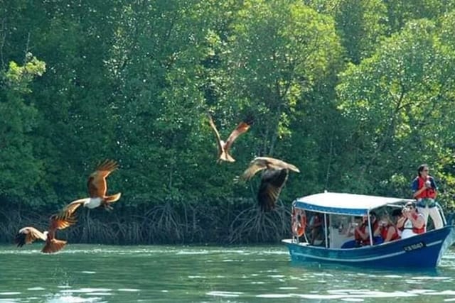 Sharing Half Day Kilim Geoforest Park Mangrove Boat Tour - Photo 1 of 25