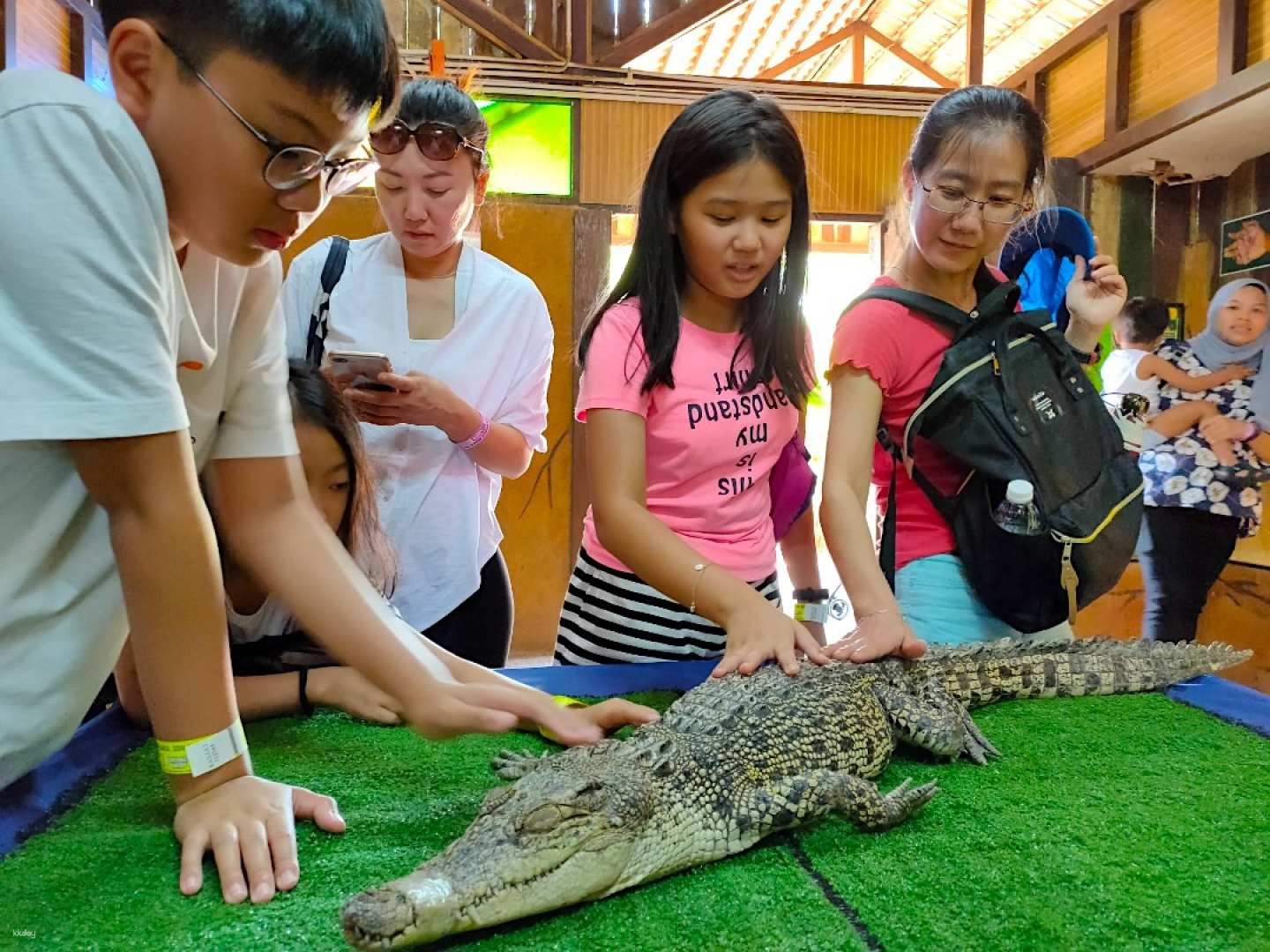 Taman Buaya & Rekreasi Melaka Crocodile and Recreation Park Ticket | Malaysia - Photo 1 of 9