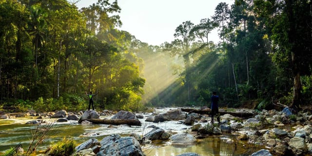 taman-negara-national-park-day-tour-pahang_1