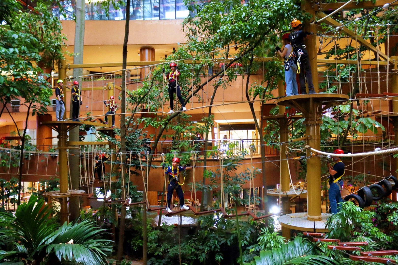 Treetop Adventure (Rope Course) at Rainforest 1 Utama | Petaling Jaya - Photo 1 of 6