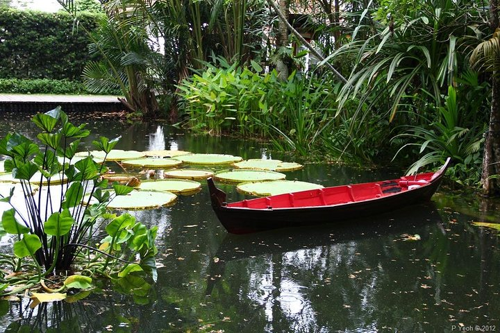 Tropical Spice Garden - Photo 1 of 9