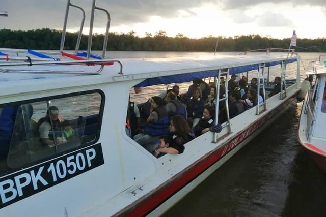 Taking a motor boat ride to watch the fireflies 