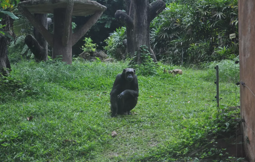 Zoo Melaka Ticket - Photo 1 of 7