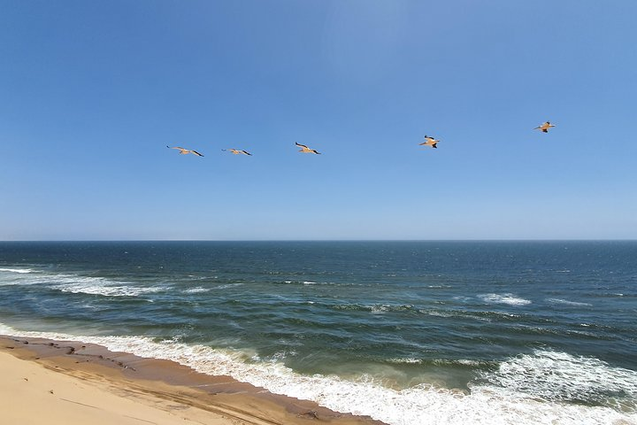  Cultural Tour in Swakopmund - Photo 1 of 4