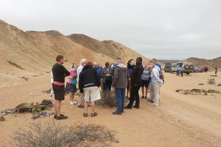  Namib naukluft park Tours(Namib Desert)Shores excursion) - Photo 1 of 11