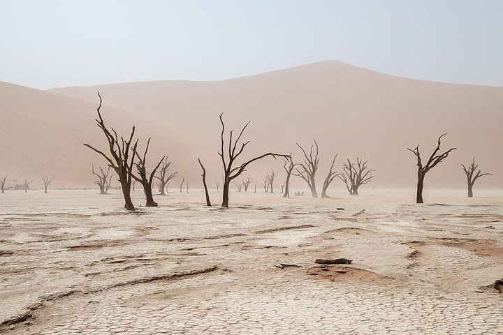 10 DAYS BEAUTY OF NAMIBIA | Private Guided Tour - Photo 1 of 25