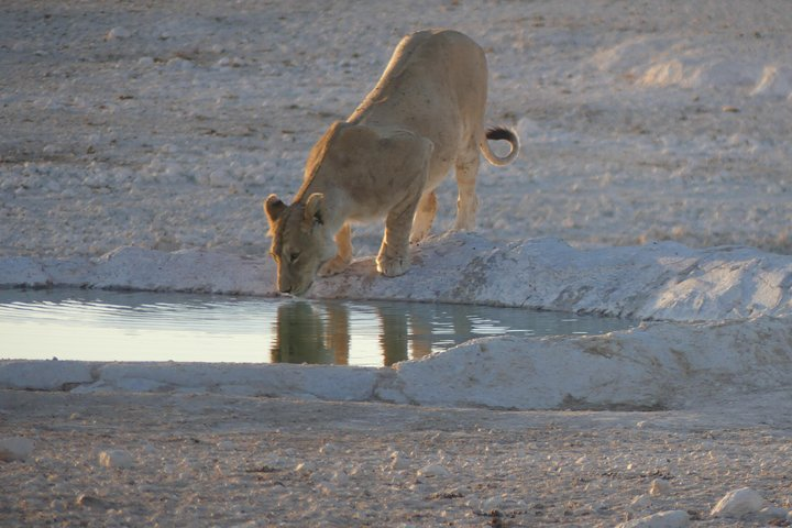 10 Namibia Adventures - Photo 1 of 11