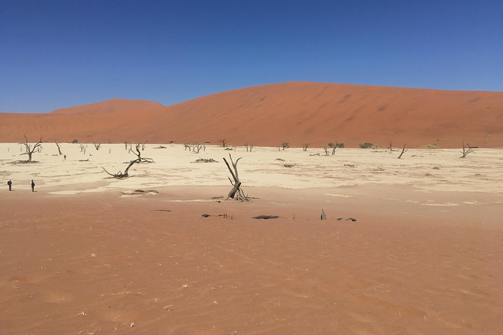 3 Day Camping safari at Sossusvlei - Photo 1 of 8