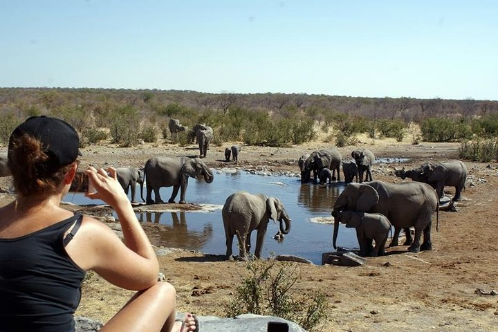 3 Day Etosha Budget Camping Safari - Photo 1 of 8