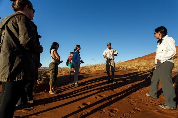 Explore the dunes with a local guide